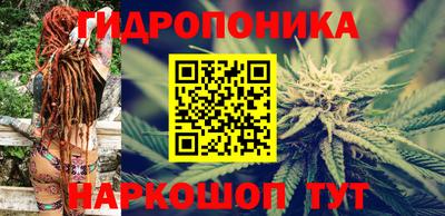 прущие грибы Жуковский