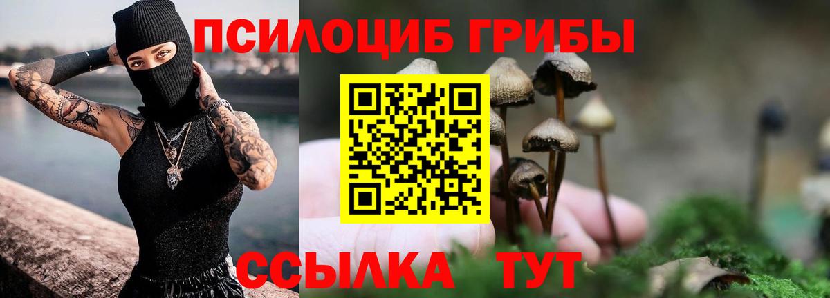 Псилоцибиновые грибы мухоморы  Вход с VPN  Сертолово 